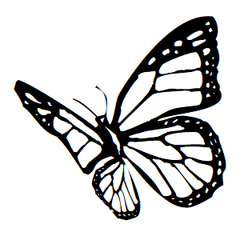 Butterfly Icon Address Labels on Sheets