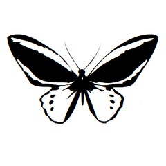 Butterfly Icon Address Labels on Sheets