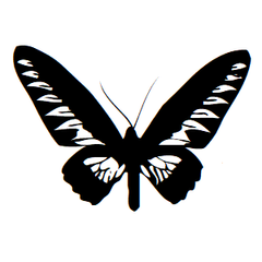 Butterfly Icon Address Labels on Sheets