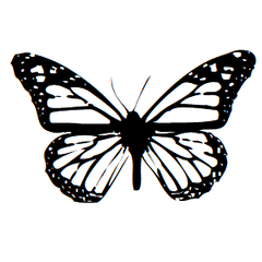 Butterfly Icon Address Labels on Sheets