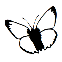 Butterfly Icon Address Labels on Sheets