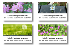 Blooming Flowers Address Labels on Sheets