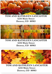 Fall Colors Sheets of Address Labels