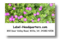 Blooming Flowers Address Labels on Sheets
