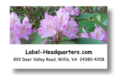 Blooming Flowers Address Labels on Sheets