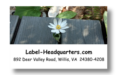 Blooming Flowers Address Labels on Sheets