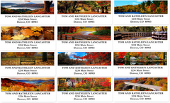 Fall Colors Sheets of Address Labels