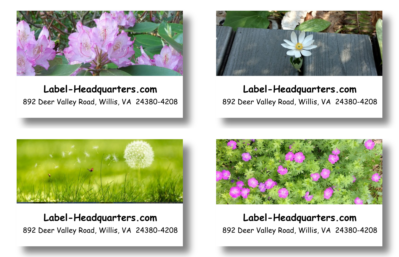Blooming Flowers Address Labels on Sheets