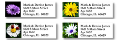 Floral Sheet Labels