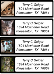 Kitten Sheet Labels