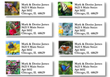 Photo Butterflies Address Label Sheets