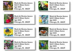 Photo Butterflies Address Label Sheets
